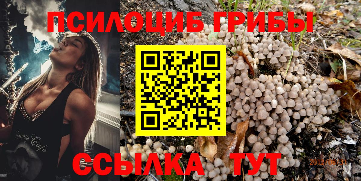 Шали  Галлюциногенные грибы MAGIC MUSHROOMS  магазин  наркотиков  Вход с VPN  Галлюциногенные грибы MAGIC MUSHROOMS 