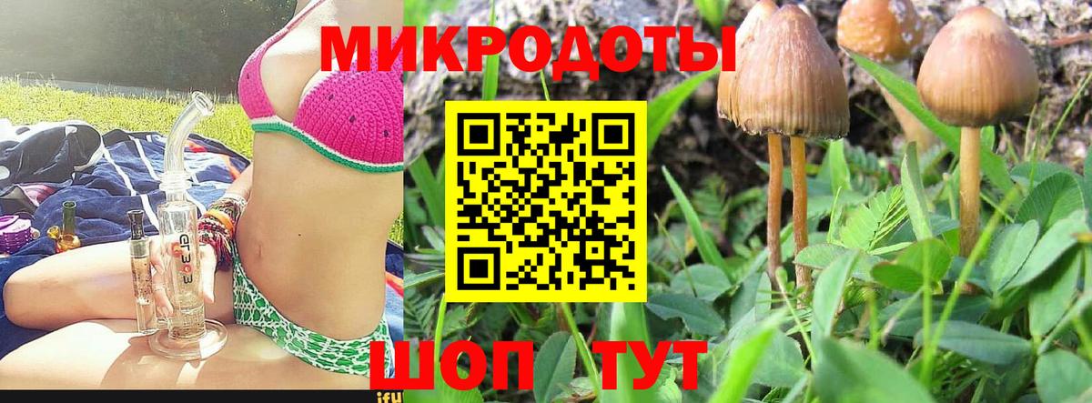 Псилоцибиновые грибы Psilocybe Шали